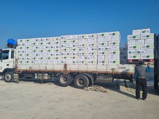 김진락님의 3월 내 작물 자랑하기 · 참여글 작성글 사진