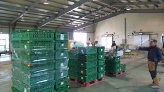 김진락님의 3월 내 작물 자랑하기 · 참여글 작성글 사진