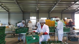 김진락님의 3월 내 작물 자랑하기 · 참여글 작성글 사진