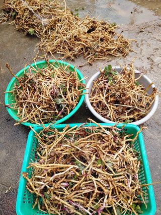 이현상님의 자유주제 · 자유게시판 작성글 사진