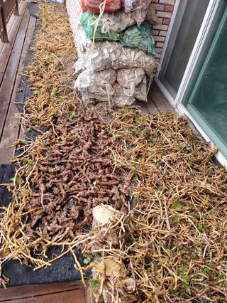 이현상님의 자유주제 · 자유게시판 작성글 사진