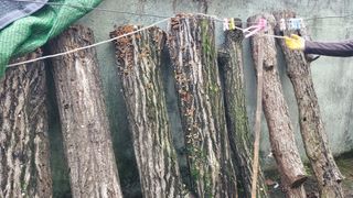 알 수 없음님의 농사, 무엇이든 물어보세요! · 참여글 작성글 사진