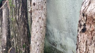 알 수 없음님의 농사, 무엇이든 물어보세요! · 참여글 작성글 사진