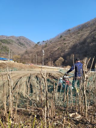 박정옥님의 자유주제 · 자유게시판 작성글 사진