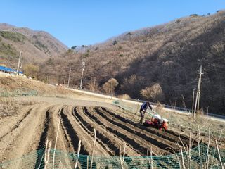 박정옥님의 자유주제 · 자유게시판 작성글 사진