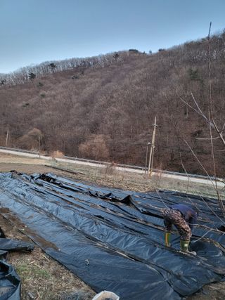 박정옥님의 자유주제 · 자유게시판 작성글 사진