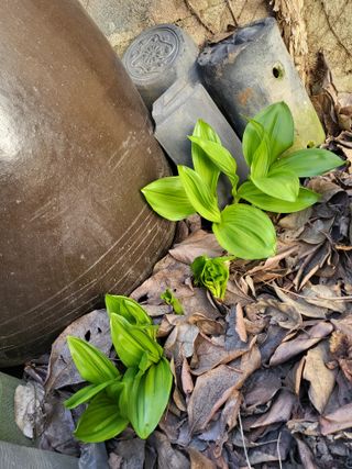 박정옥님의 자유주제 · 자유게시판 작성글 사진