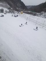 팜모닝 자유주제·자유게시판 게시글 이미지