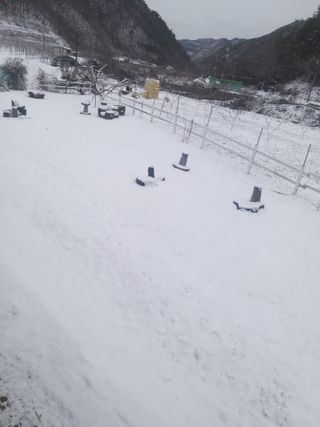 유석범님의 자유주제 · 자유게시판 작성글 사진