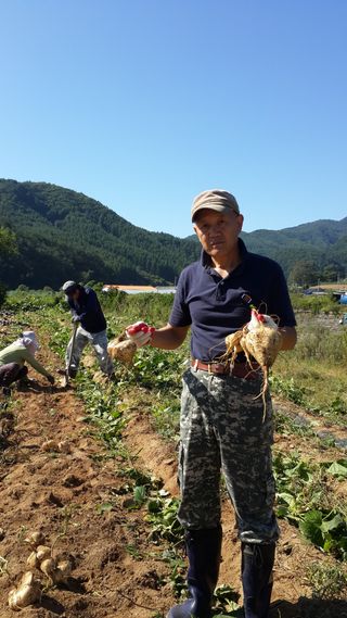 유석범님의 자유주제 · 자유게시판 작성글 사진