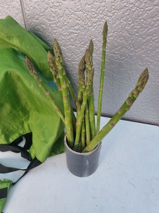 이정식님의 기타작물 · 영농일지 작성글 사진