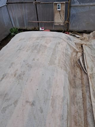 마정숙님의 고추 · 일상 작성글 사진