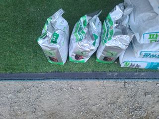 늘항상한결님의 감자 · 자유게시판 작성글 사진