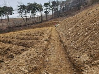 박서방님의 두릅 · 영농일지 작성글 사진