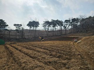 박서방님의 두릅 · 영농일지 작성글 사진