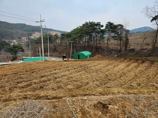 박서방님의 두릅 · 영농일지 작성글 사진