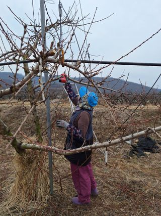 욕심내지말자님의 자유주제 · 자유게시판 작성글 사진