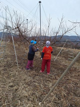 욕심내지말자님의 자유주제 · 자유게시판 작성글 사진