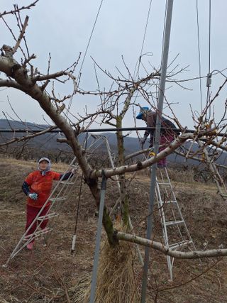욕심내지말자님의 자유주제 · 자유게시판 작성글 사진