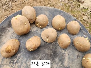 조용오님의 자유주제 · 자유게시판 작성글 사진