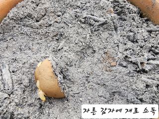 조용오님의 자유주제 · 자유게시판 작성글 사진