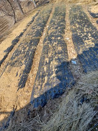 이연화님의 3월 내 작물 자랑하기 · 참여글 작성글 사진