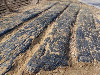 이연화님의 3월 내 작물 자랑하기 · 참여글 작성글 사진