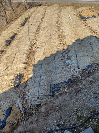 이연화님의 3월 내 작물 자랑하기 · 참여글 작성글 사진