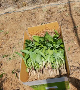 황덕순 님의 작성글 사진