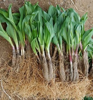 황덕순 님의 작성글 사진