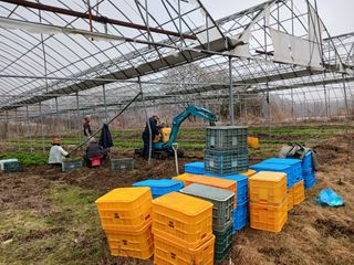 황덕순 님의 작성글 사진