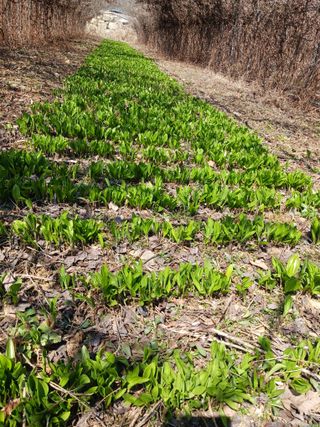 황덕순 님의 작성글 사진