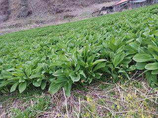 황덕순 님의 작성글 사진