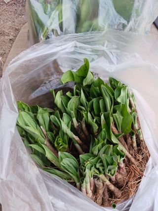 황덕순 님의 작성글 사진