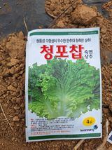 팜모닝 상추·영농일지 게시글 이미지