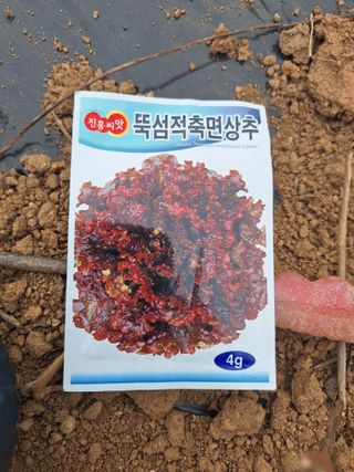 농부여사님의 작성글 사진