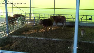 영암시종 정동석 님의 자유주제 · 사진전 작성글 사진