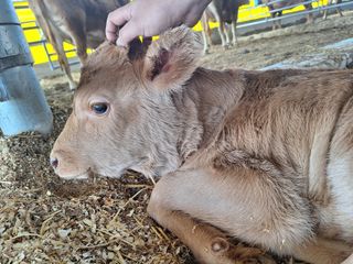 영암시종 정동석 님의 자유주제 · 사진전 작성글 사진