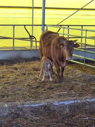 영암시종 정동석 님의 자유주제 · 사진전 작성글 사진