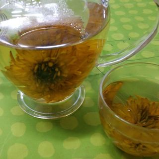 홍천산채농원님의 작성글 사진