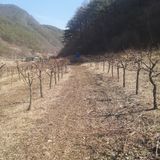 팜모닝 자유주제·자유게시판 게시글 이미지