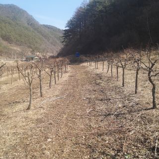 유석범님의 자유주제 · 자유게시판 작성글 사진