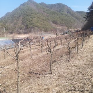 유석범님의 자유주제 · 자유게시판 작성글 사진