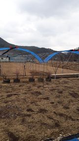 팜모닝 자유주제·자유게시판 게시글 이미지