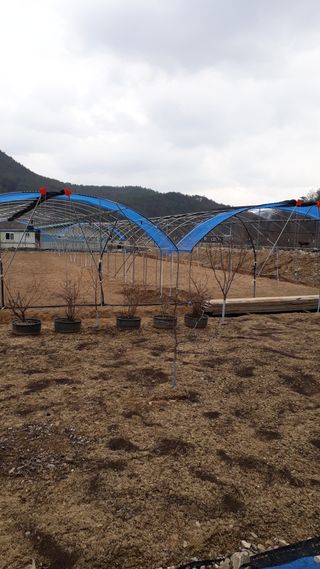 김윤희님의 자유주제 · 자유게시판 작성글 사진