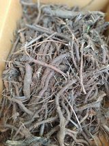 팜모닝 자유주제·자유게시판 게시글 이미지