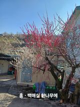 팜모닝 자유주제·자유게시판 게시글 이미지