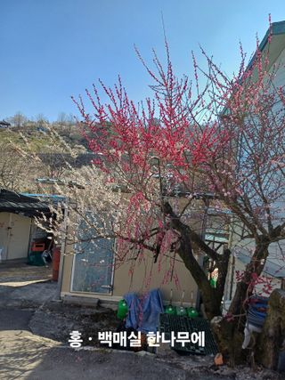 김대업님의 자유주제 · 자유게시판 작성글 사진