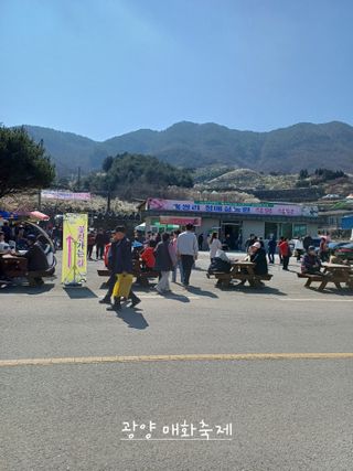 김대업님의 자유주제 · 자유게시판 작성글 사진