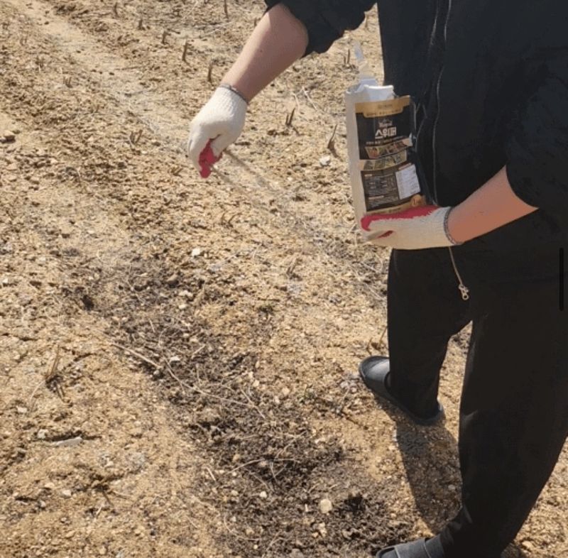 자재스토어님의 장터 판매 상품 [스위퍼 1kg 토양 병해충 원료효과- 뿌리파리 총채벌레 진딧물 응애 탄저병 흰가루병 약 (살충제 살균제 농약 X)] 첨부 사진